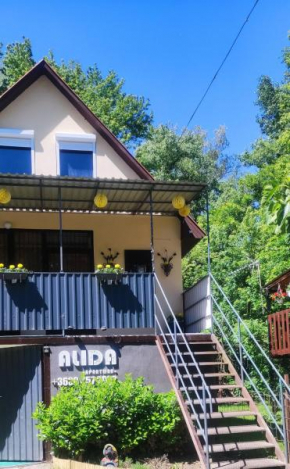 Alida apartman Tokaj Tisza part
